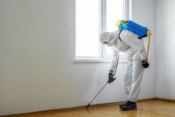 Best Wildlife Control Services  in Old Town, ME
